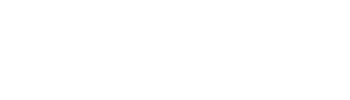 BAMS FESTIVAL